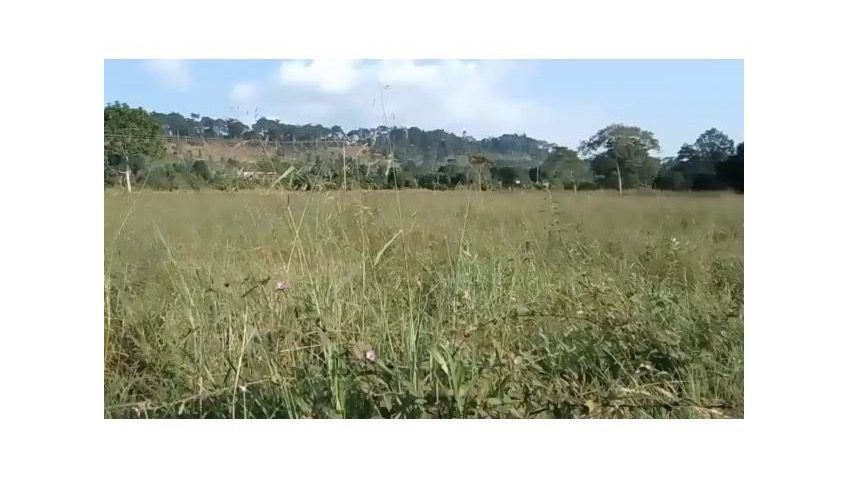 50 acres for sale in Nakawuka