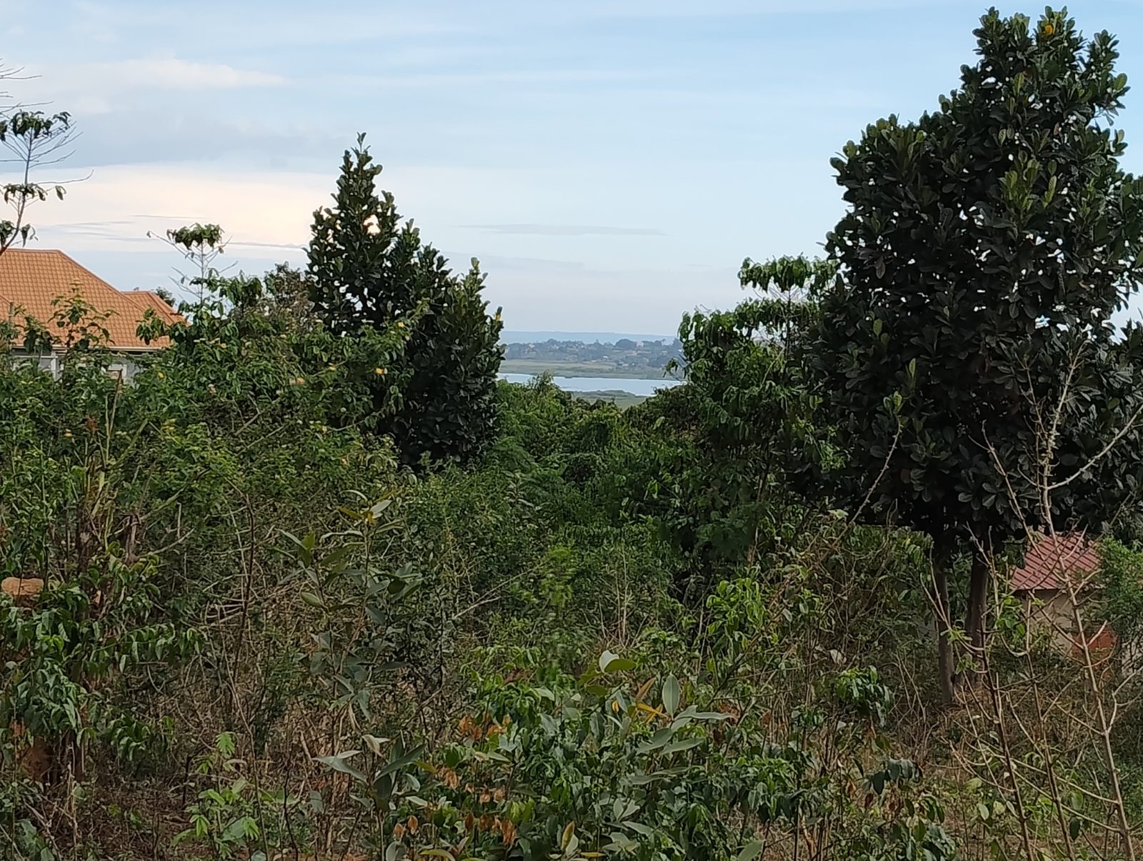 Land for sale in Namulanda