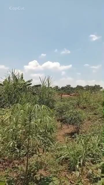 Land for sale in Busiika Janda