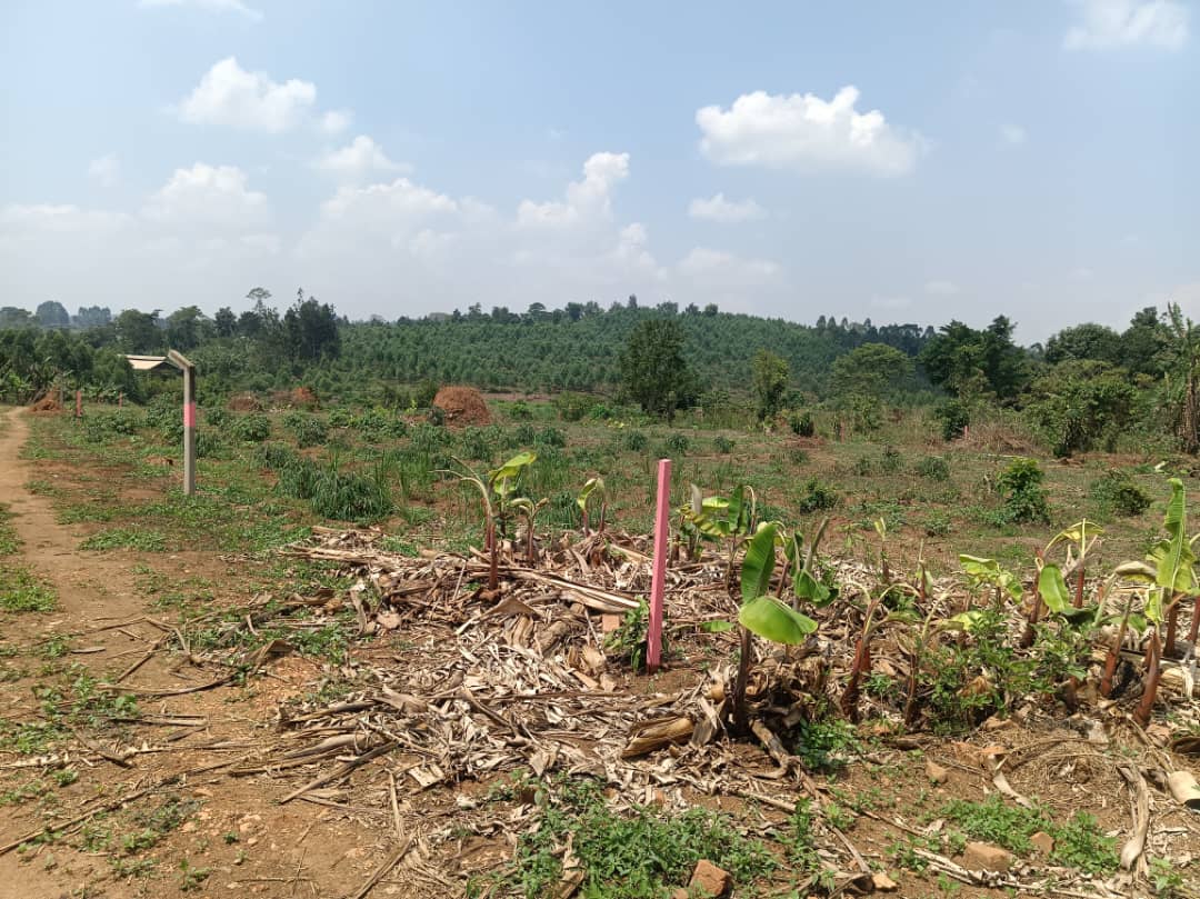 50-by-100 plot in Namugongo Bukerere Mawangala Estate