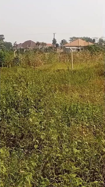 One acre of private mailo land in Nakasajja