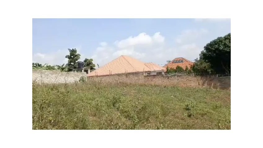 Two plots for sale in Sonde