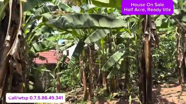 House for sale in Nkoowe