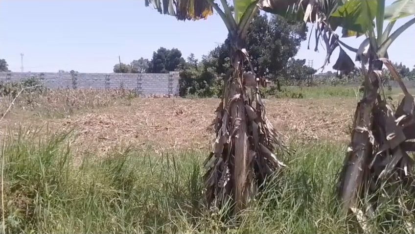 Two plots for sale on Mamerito Road, Kira