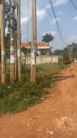 100-by-100 plot in Kira Mulawa