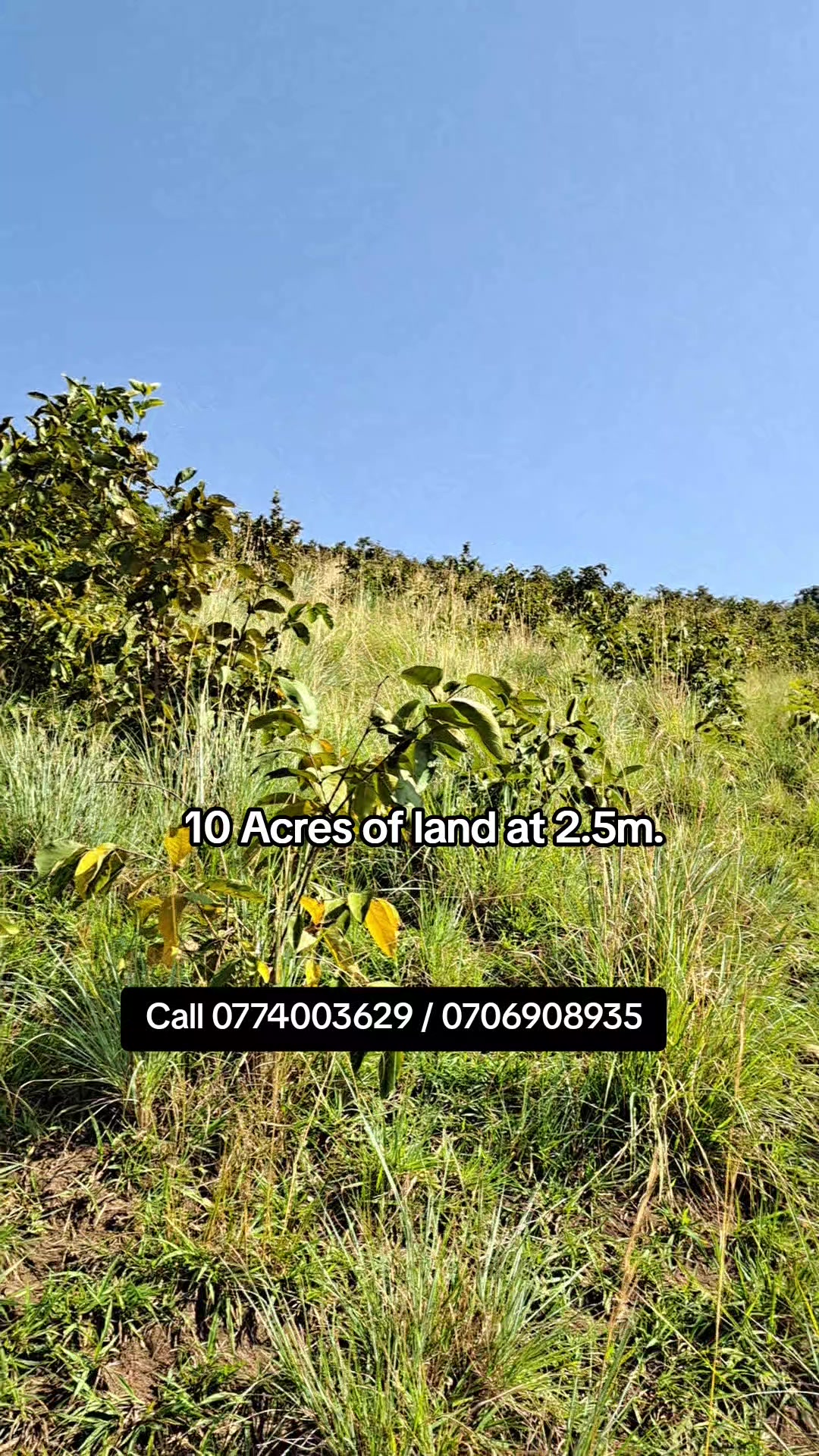 Land in Butunduzi