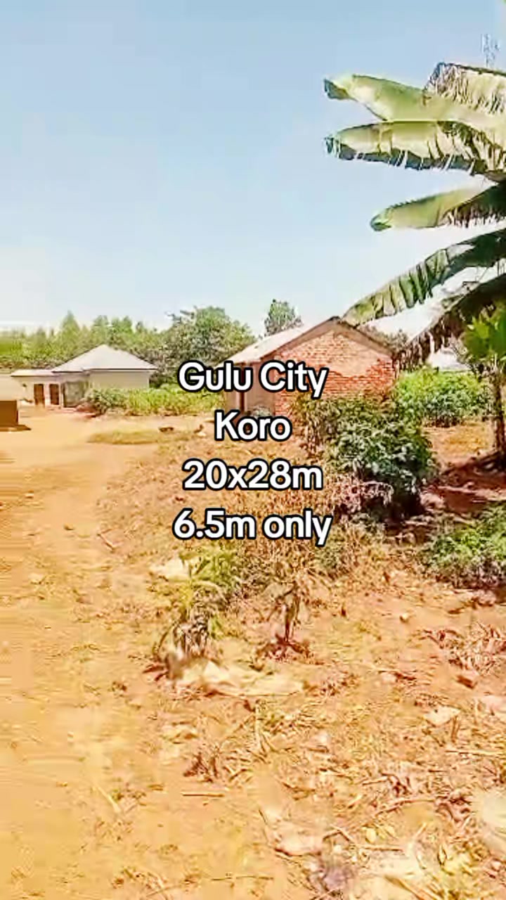 Land in Koro
