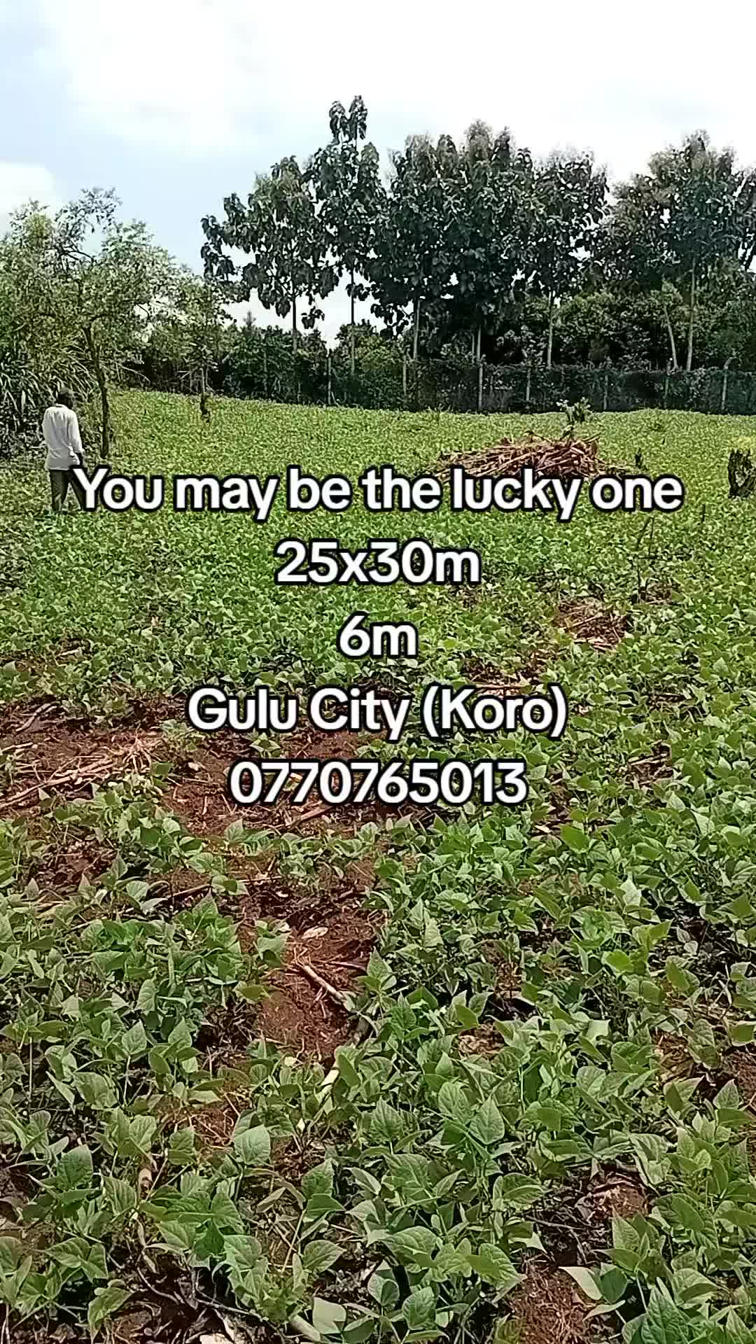 Land in Koro