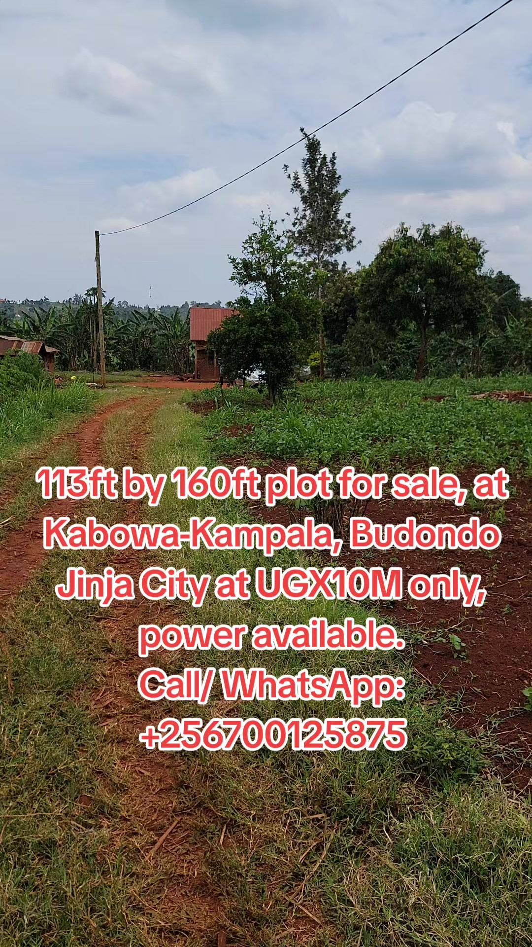 Land in Jinja