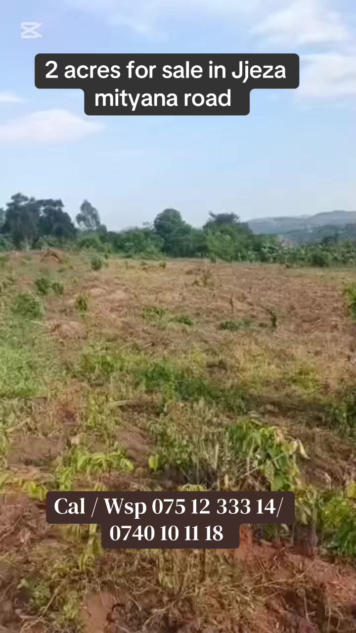 Land in Jjeza