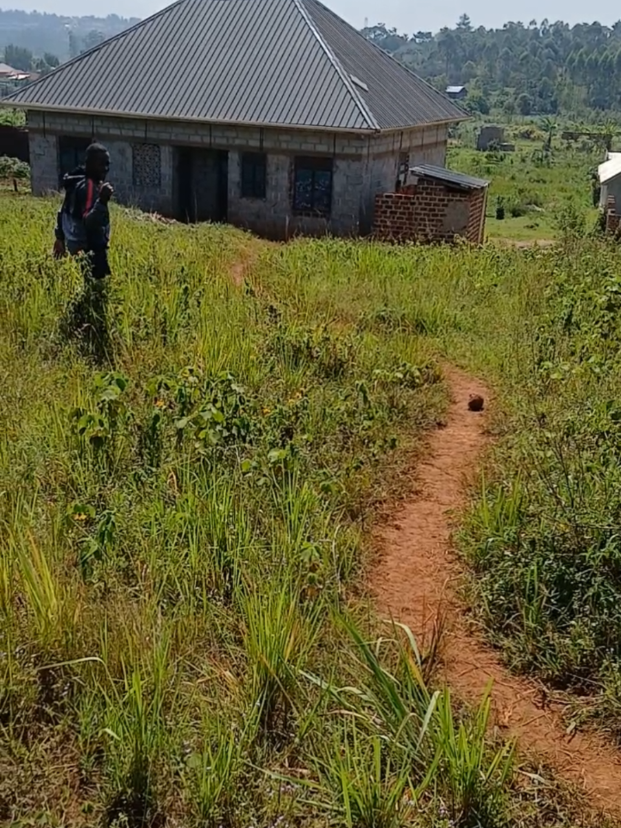 Land in Bbanda