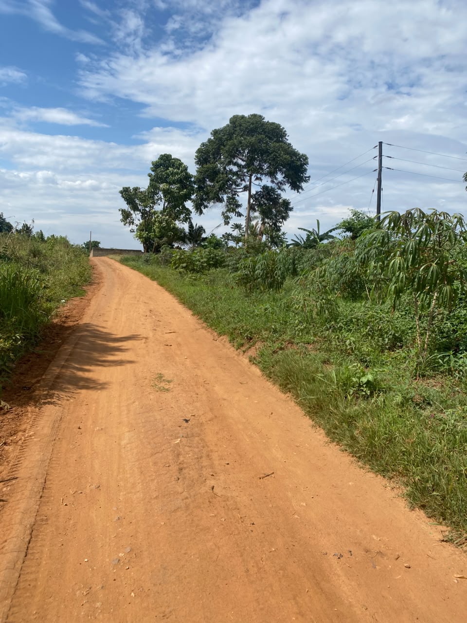 Land for sale in Bombo