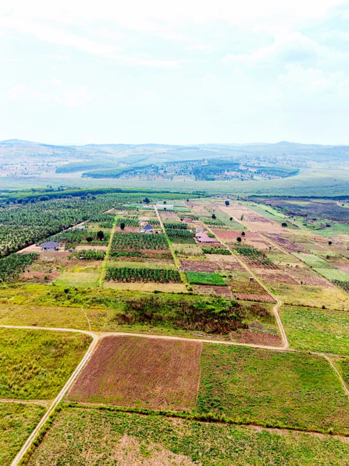property for sale in Busika