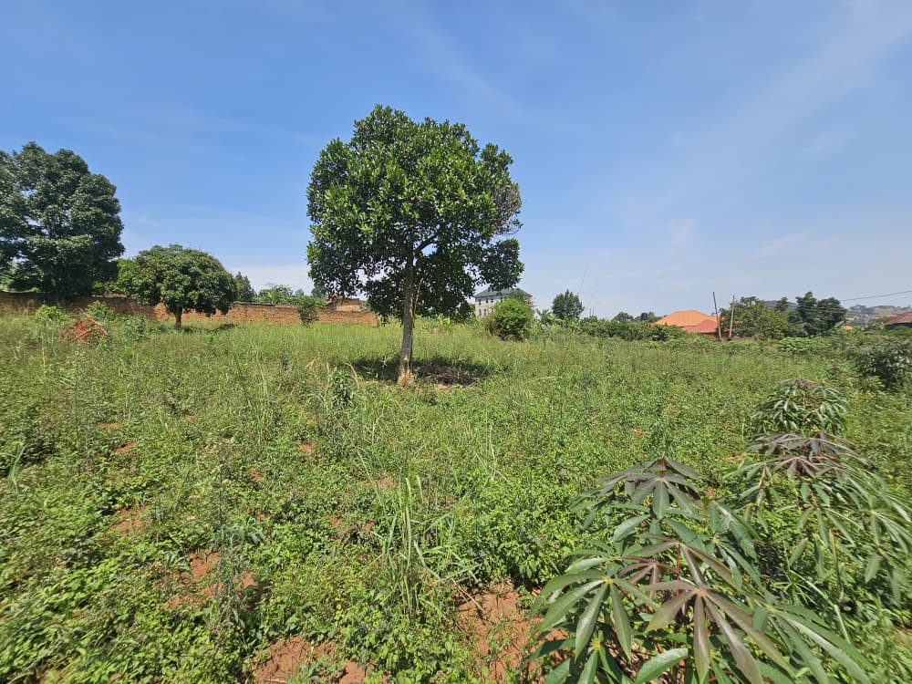 Land for sale in Bulindo