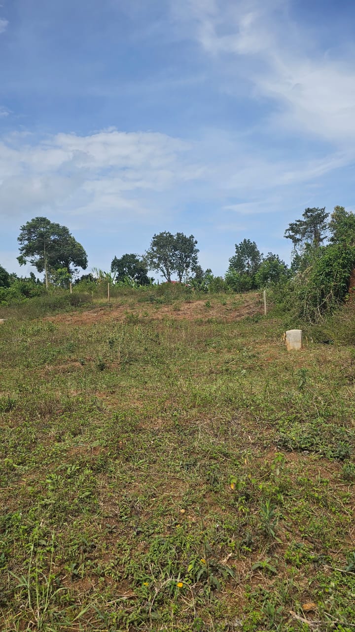 Land for sale in Namulanda