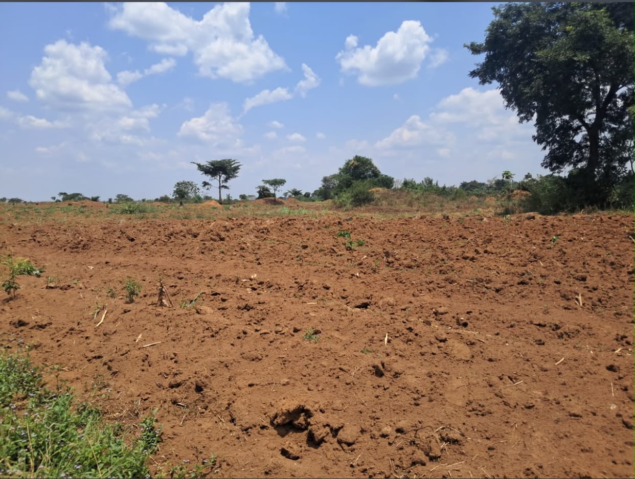 Land for sale in Kikyusa