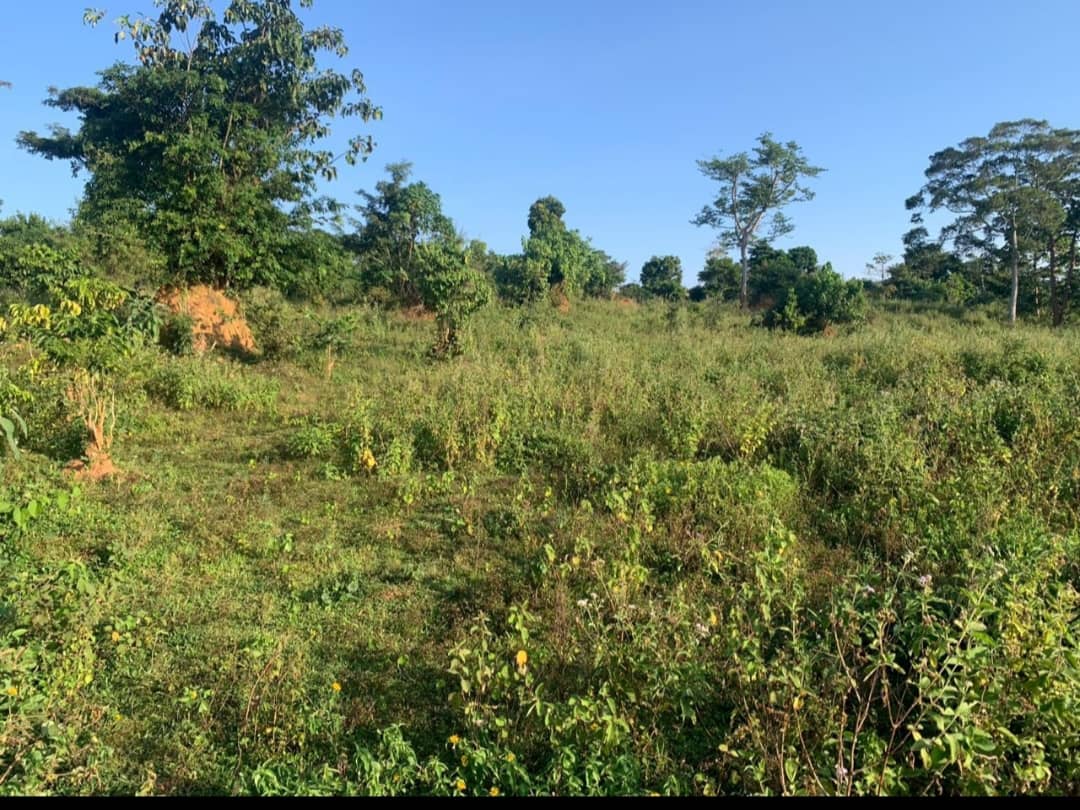 Land for sale in Gayaza