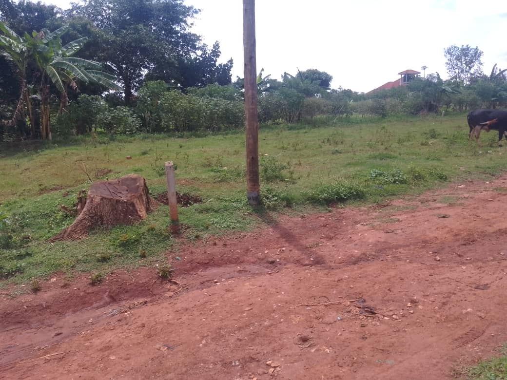 Land for sale in Nakwero