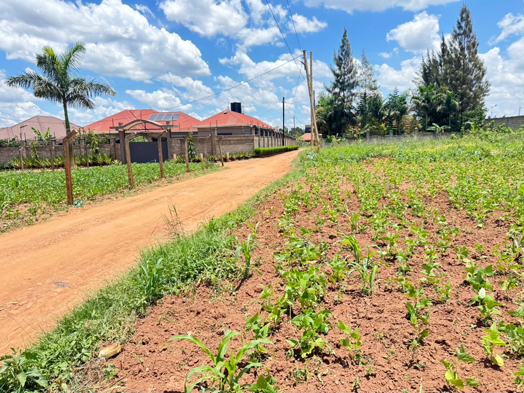 Land for sale in Nakwero