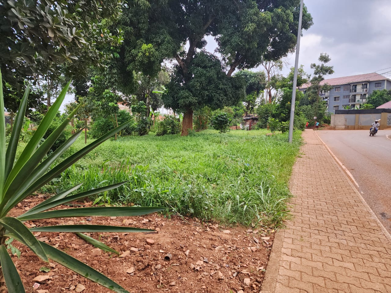 Land for sale in Kulambiro