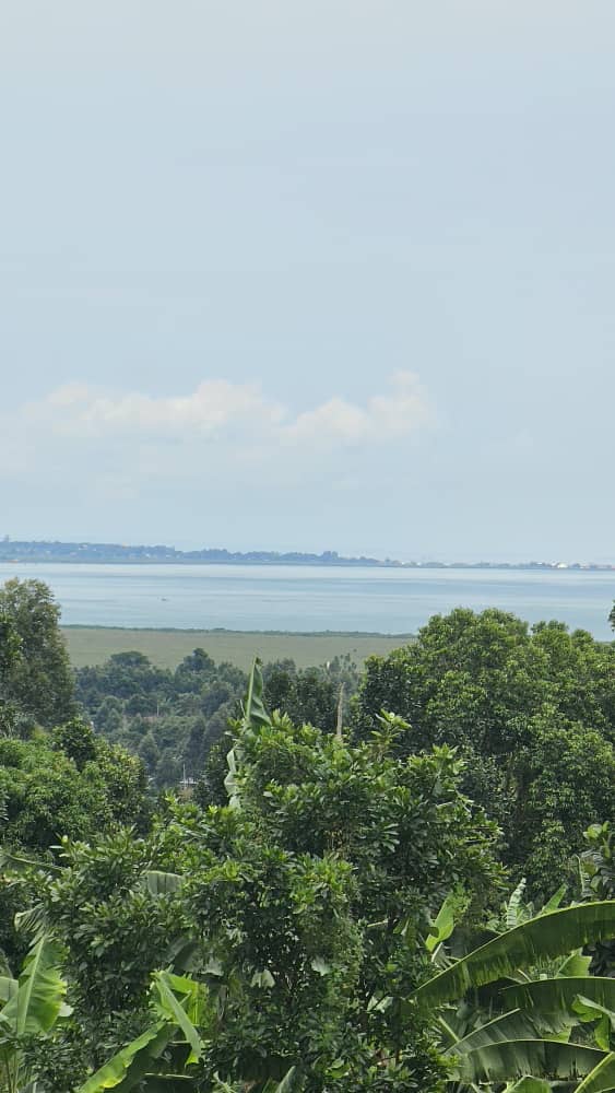 Land for sale in Nakawuka