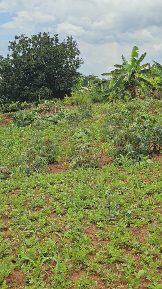 Land for sale in Nakawuka