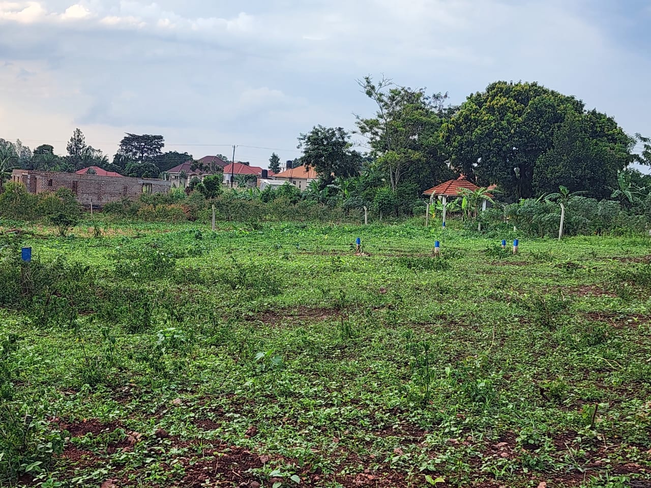 Land for sale in Gayaza