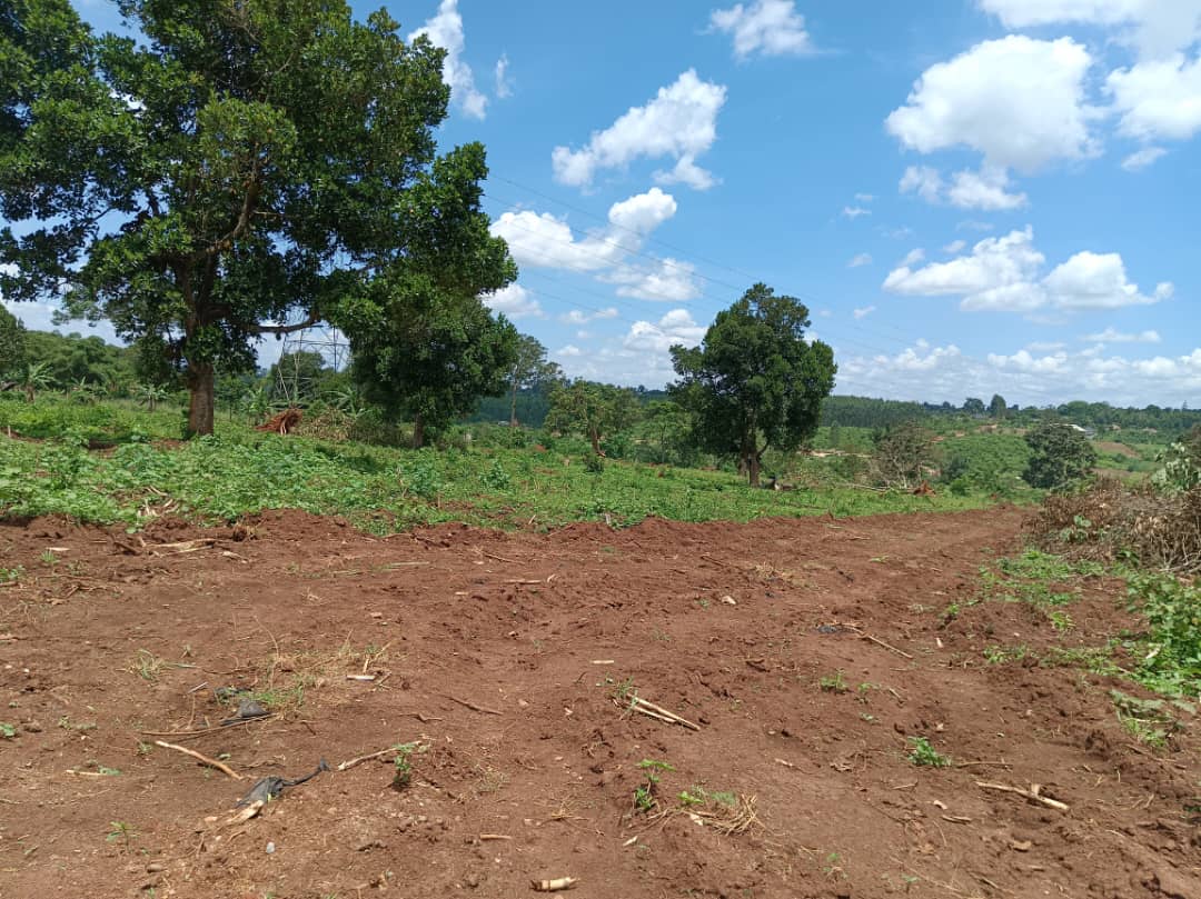 Plots for sale in Namugongo