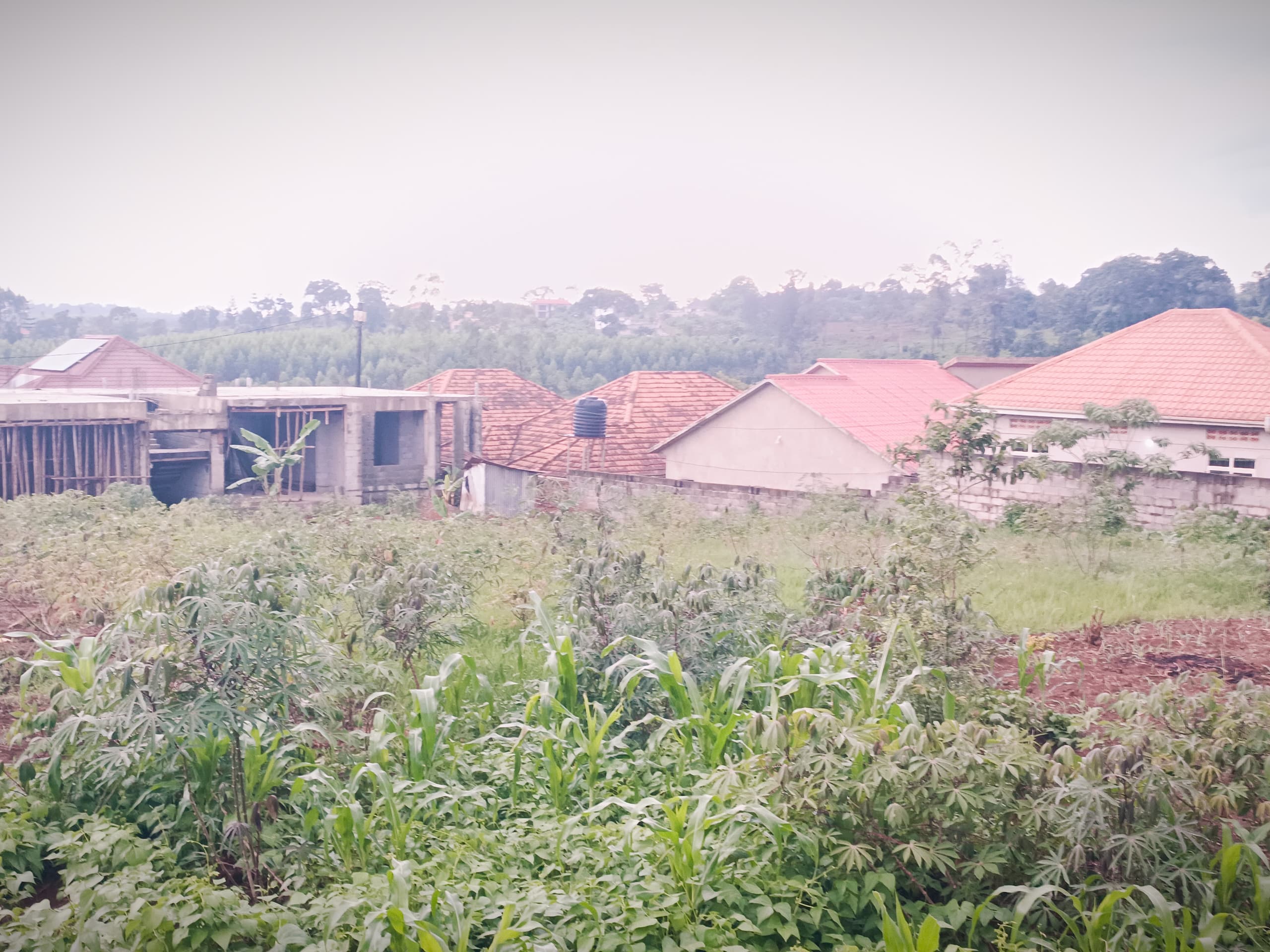 Land for sale in Namugongo