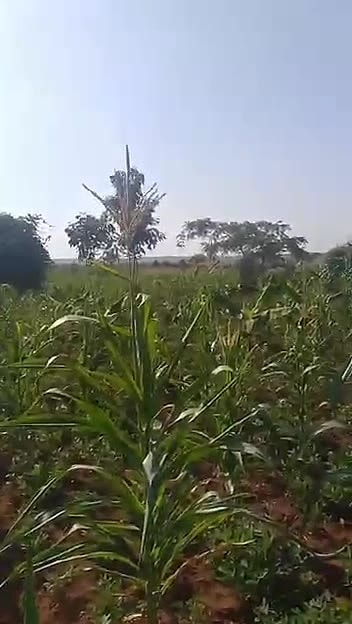 Land for sale in Kitwe