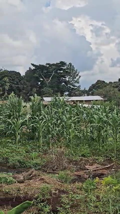 Land for sale in Bwerenga