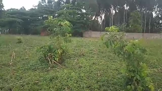 Land for sale in Bukerere