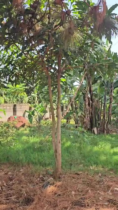 Land for sale in Bwerenga