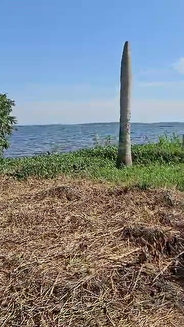 Land for sale in Bwerenga